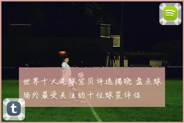 世界十大足球宝贝评选揭晓 盘点球场外最受关注的十位球星伴侣